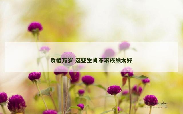 及格万岁 这些生肖不求成绩太好