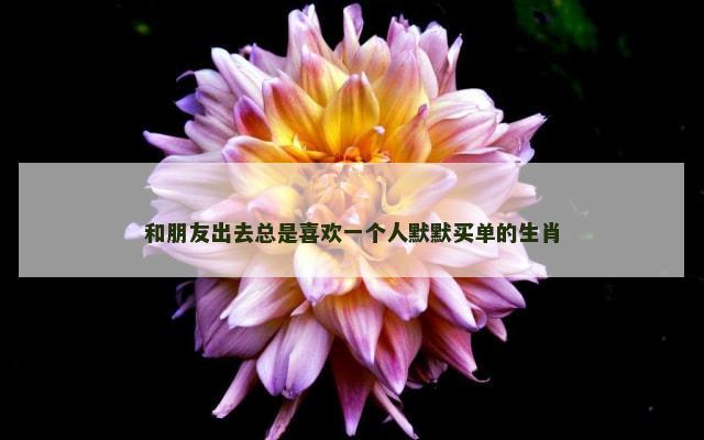 和朋友出去总是喜欢一个人默默买单的生肖