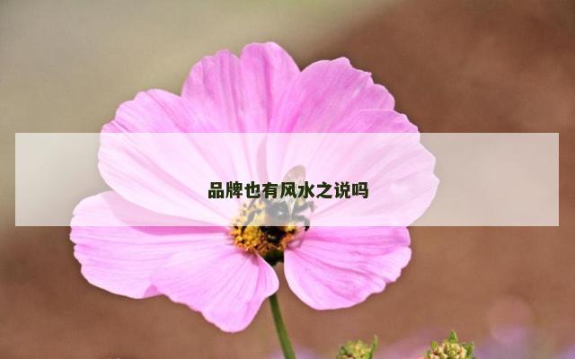 品牌也有风水之说吗