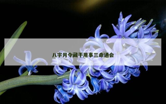 八字月令藏干用事三命通会