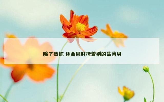 除了撩你 还会同时撩着别的生肖男