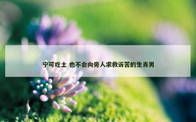 宁可吃土 也不会向旁人求救诉苦的生肖男