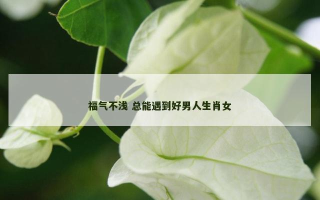 福气不浅 总能遇到好男人生肖女