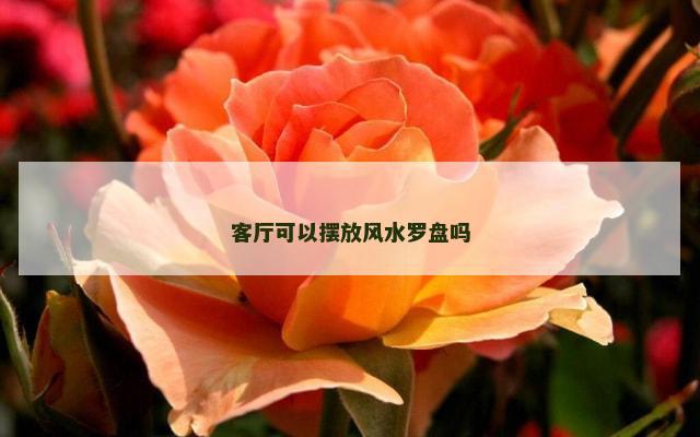 客厅可以摆放风水罗盘吗