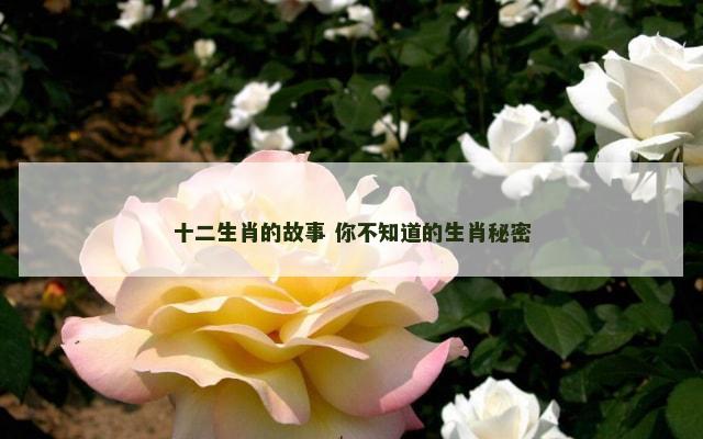 十二生肖的故事 你不知道的生肖秘密