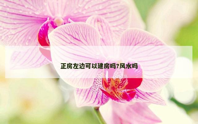 正房左边可以建房吗?风水吗
