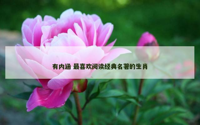 有内涵 最喜欢阅读经典名著的生肖