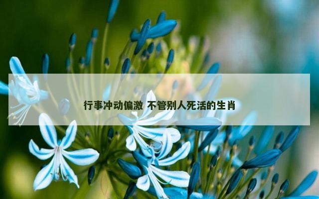 行事冲动偏激 不管别人死活的生肖