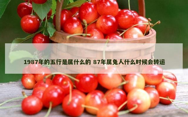 1987年的五行是属什么的 87年属兔人什么时候会转运