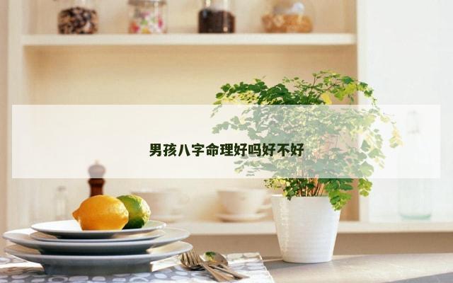 男孩八字命理好吗好不好