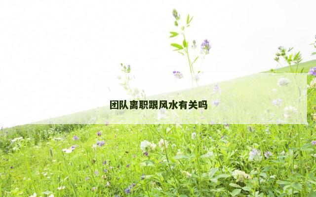团队离职跟风水有关吗