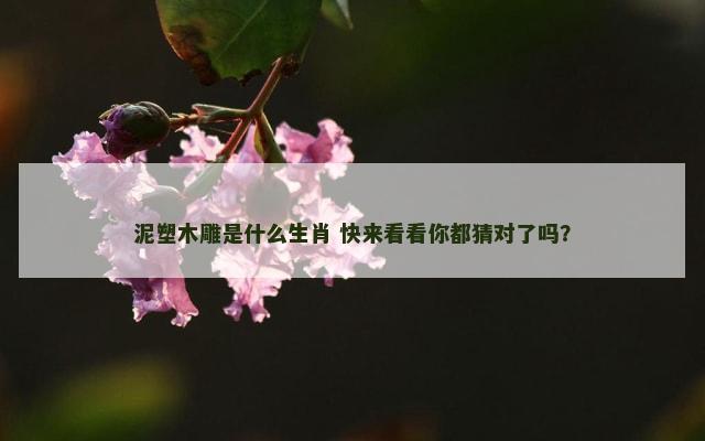 泥塑木雕是什么生肖 快来看看你都猜对了吗？