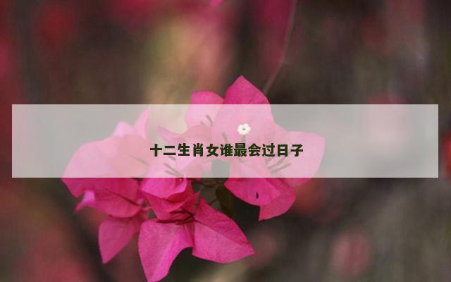 十二生肖女谁最会过日子