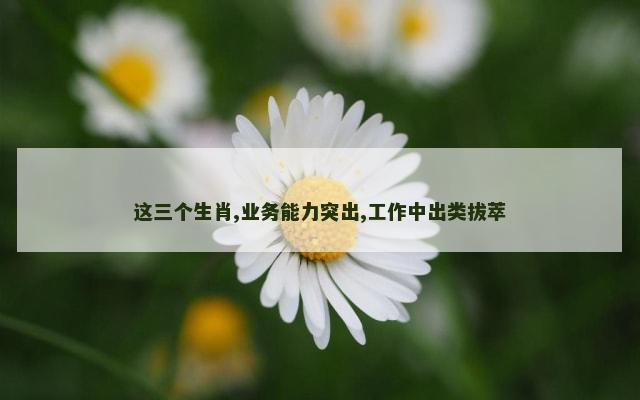 这三个生肖,业务能力突出,工作中出类拔萃