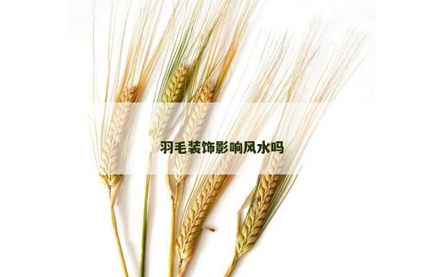 羽毛装饰影响风水吗