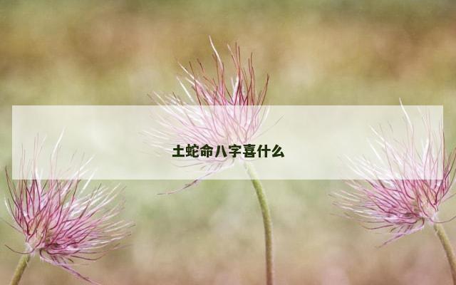 土蛇命八字喜什么