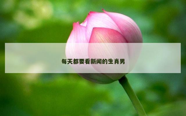 每天都要看新闻的生肖男