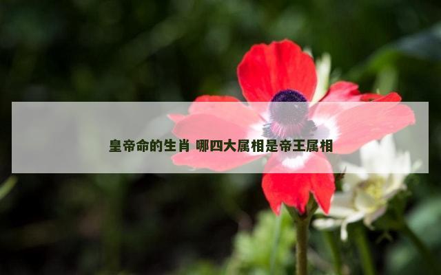 皇帝命的生肖 哪四大属相是帝王属相