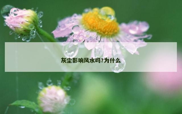 灰尘影响风水吗?为什么