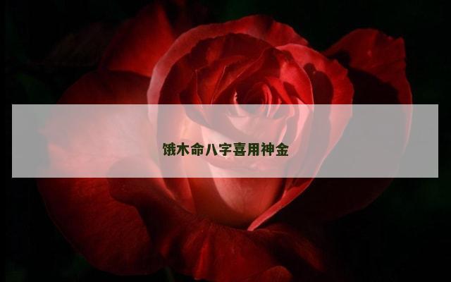 饿木命八字喜用神金