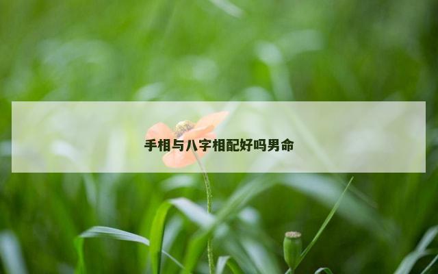 手相与八字相配好吗男命
