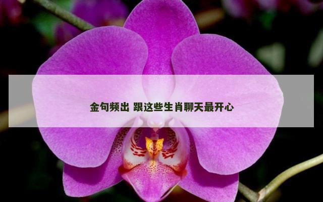 金句频出 跟这些生肖聊天最开心