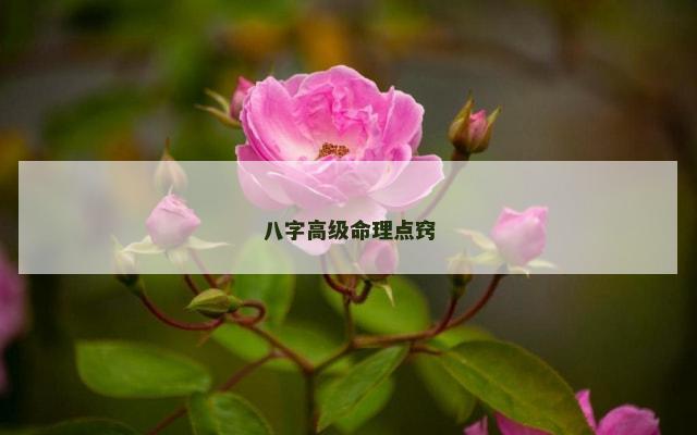 八字高级命理点窍