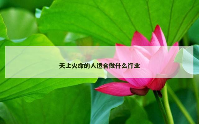 天上火命的人适合做什么行业