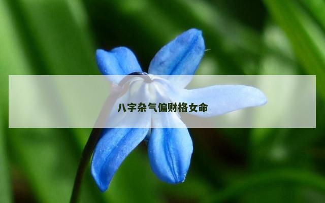 八字杂气偏财格女命