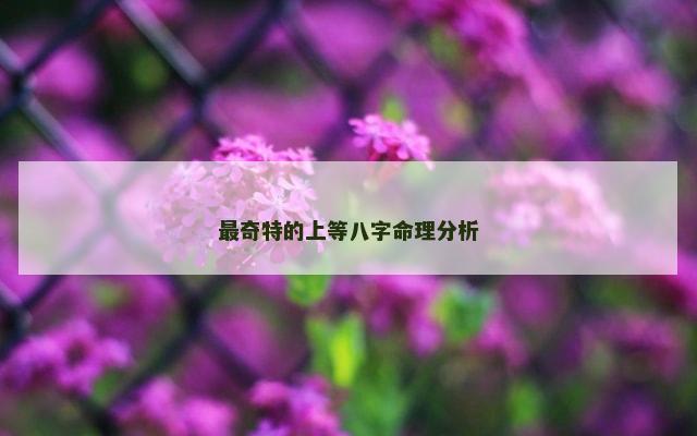 最奇特的上等八字命理分析