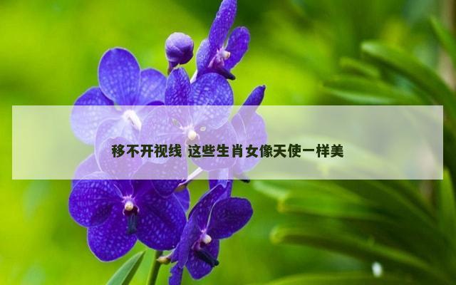 移不开视线 这些生肖女像天使一样美