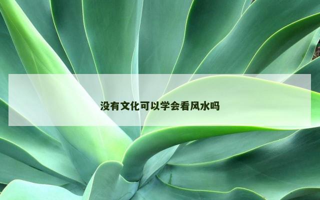 没有文化可以学会看风水吗