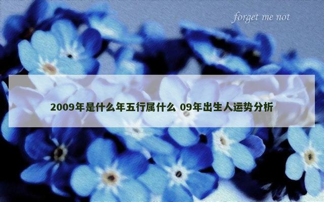 2009年是什么年五行属什么 09年出生人运势分析