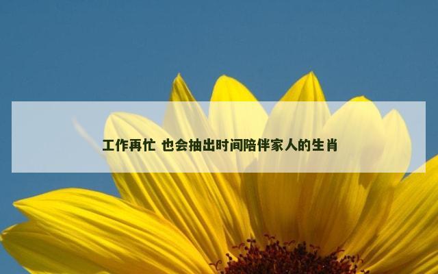 工作再忙 也会抽出时间陪伴家人的生肖