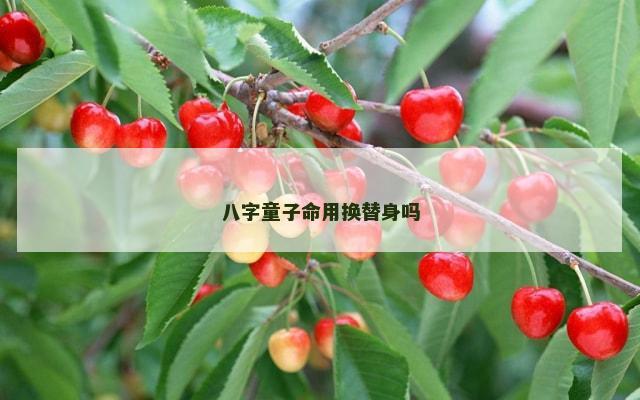 八字童子命用换替身吗