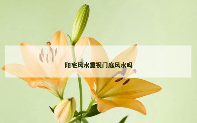 阳宅风水重视门庭风水吗