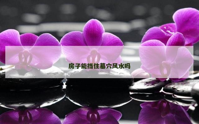 房子能挡住墓穴风水吗