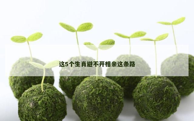 这5个生肖避不开相亲这条路