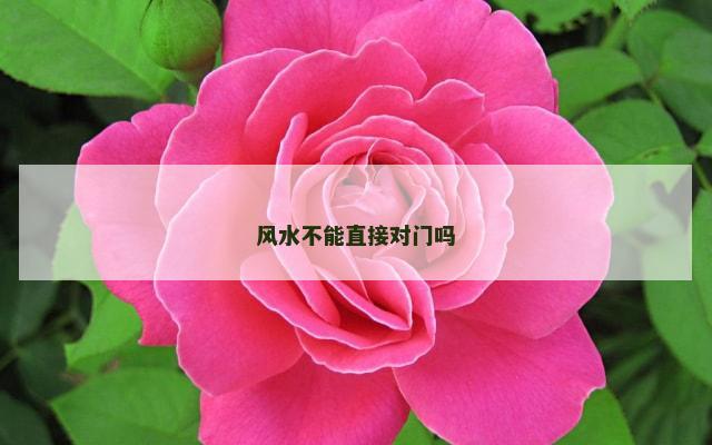 风水不能直接对门吗