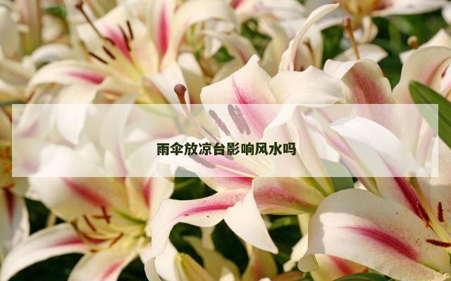 雨伞放凉台影响风水吗