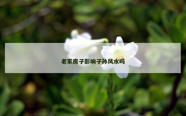 老家房子影响子孙风水吗