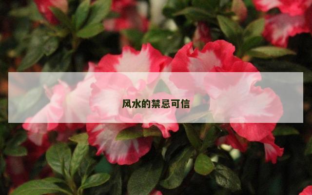 风水的禁忌可信