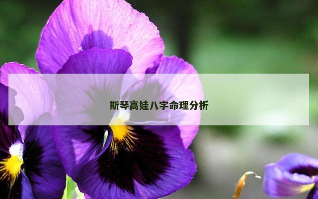 斯琴高娃八字命理分析