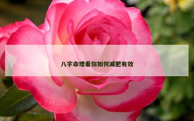 八字命理看你如何减肥有效