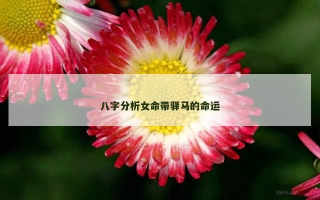 八字分析女命带驿马的命运