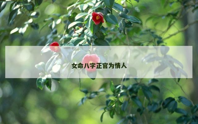 女命八字正官为情人