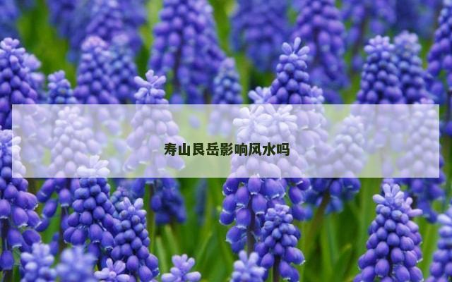 寿山艮岳影响风水吗