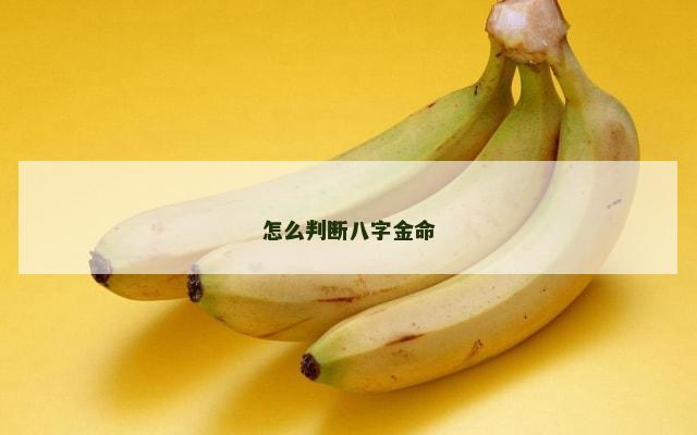 怎么判断八字金命