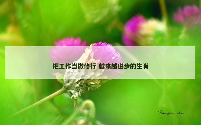 把工作当做修行 越来越进步的生肖