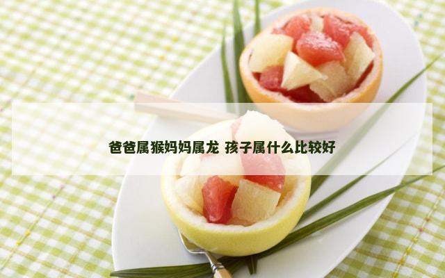 爸爸属猴妈妈属龙 孩子属什么比较好